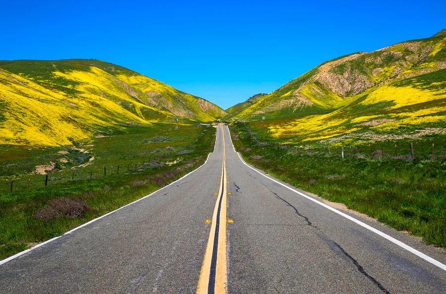 Cover Image for Evaluating the Safety of Your Upcoming Travel Destination