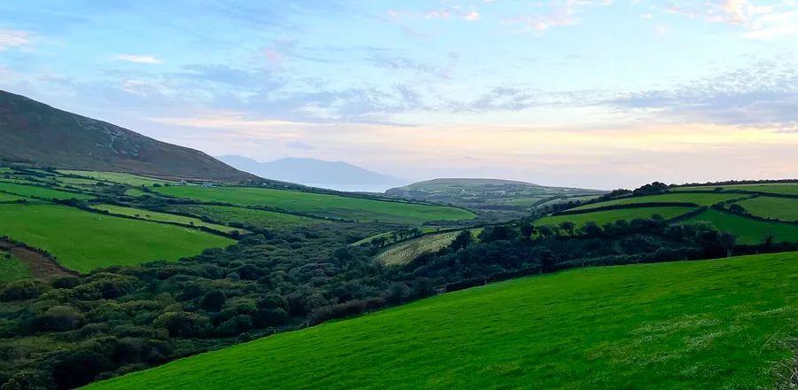 Cover Image for Journeying with a TV Star: My Bare Feet Adventure in Ireland
