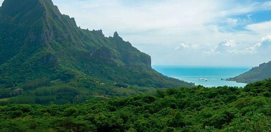 Cover Image for The Allure of Small in French Polynesia