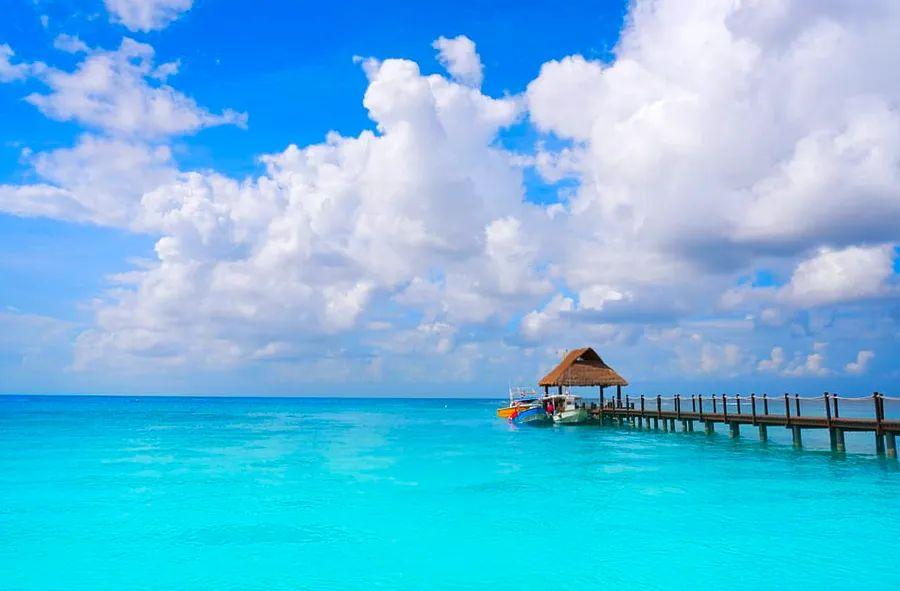 Cover Image for 7 Must-Try Cozumel Shore Excursions with Dinogo