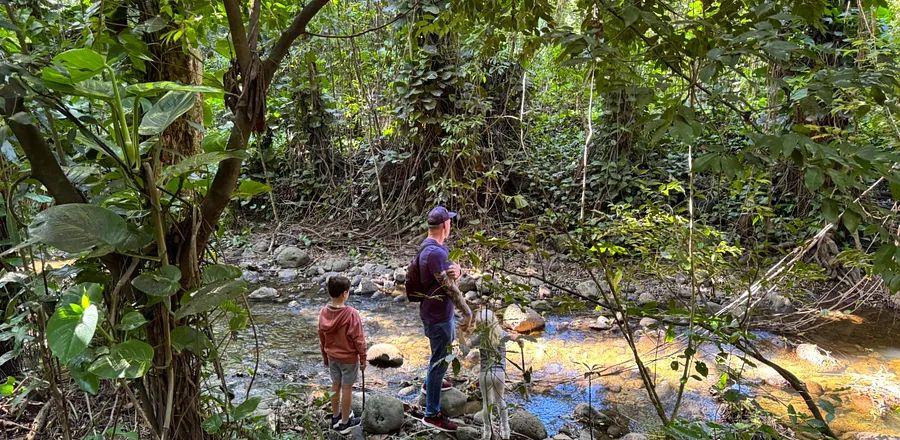 Cover Image for Is It Appropriate to Withdraw Your Kids from School for Travel?