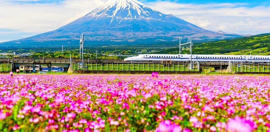 Cover Image for 8 Train Journeys for Breathtaking Spring Views