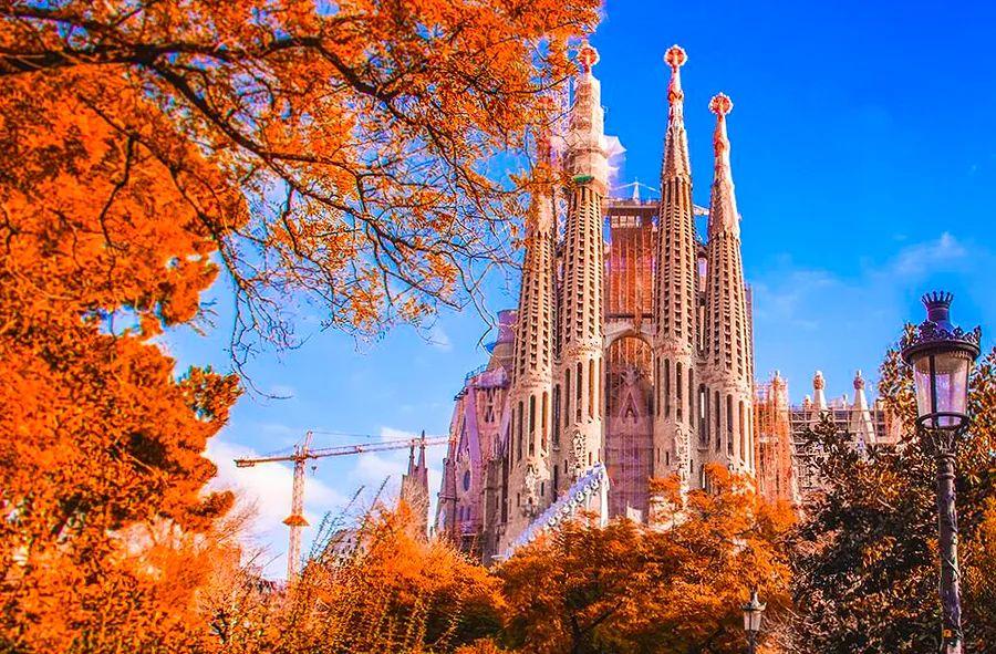 Cover Image for Must-Do Activities in Barcelona Before or After Your Cruise