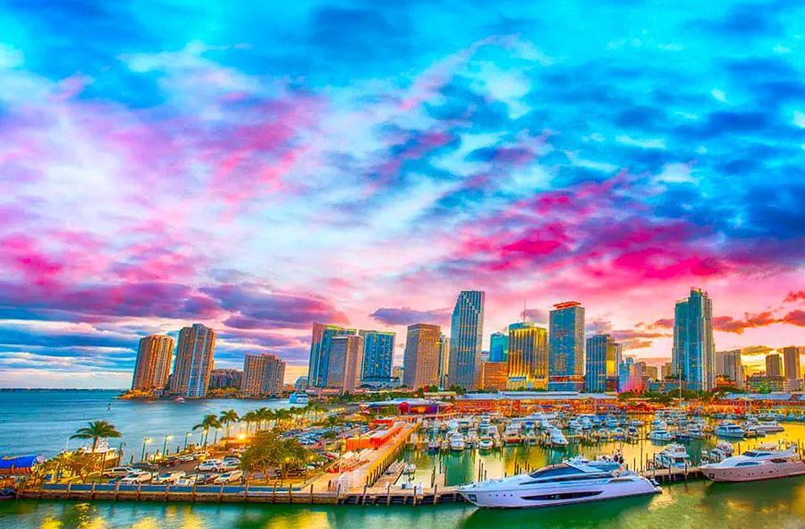Cover Image for Top 3 Cruises You Should Consider if You're a Miami Resident
