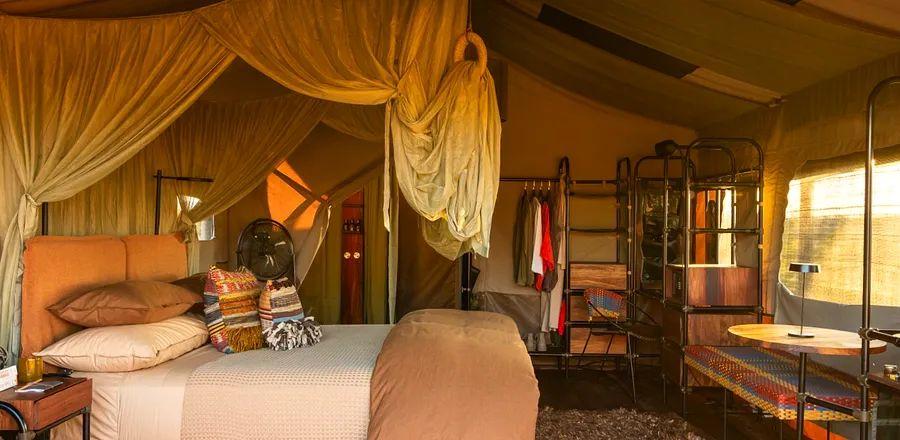 Cover Image for Experience the Great Migration in Serenity: This Updated Dinogo Camp in Tanzania Delivers