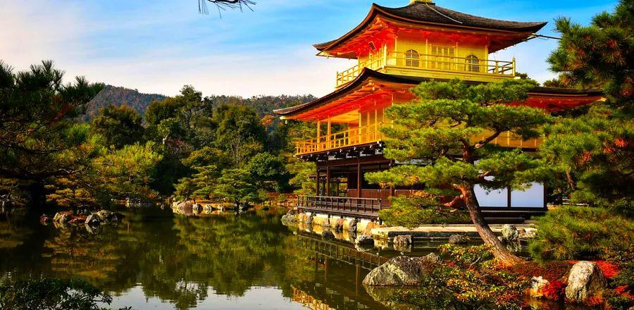 Cover Image for Japan Airlines Offers Free Domestic Flights to International Passengers
