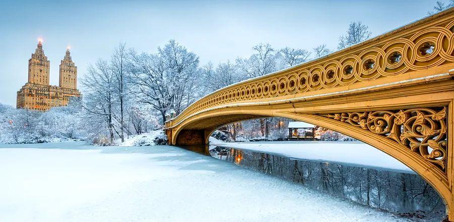 Cover Image for Reasons to Visit New York City This Winter