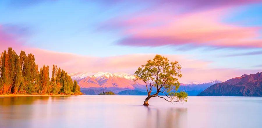 Cover Image for New Zealand Begins to Reopen—But U.S. Travelers Must Wait a Bit Longer