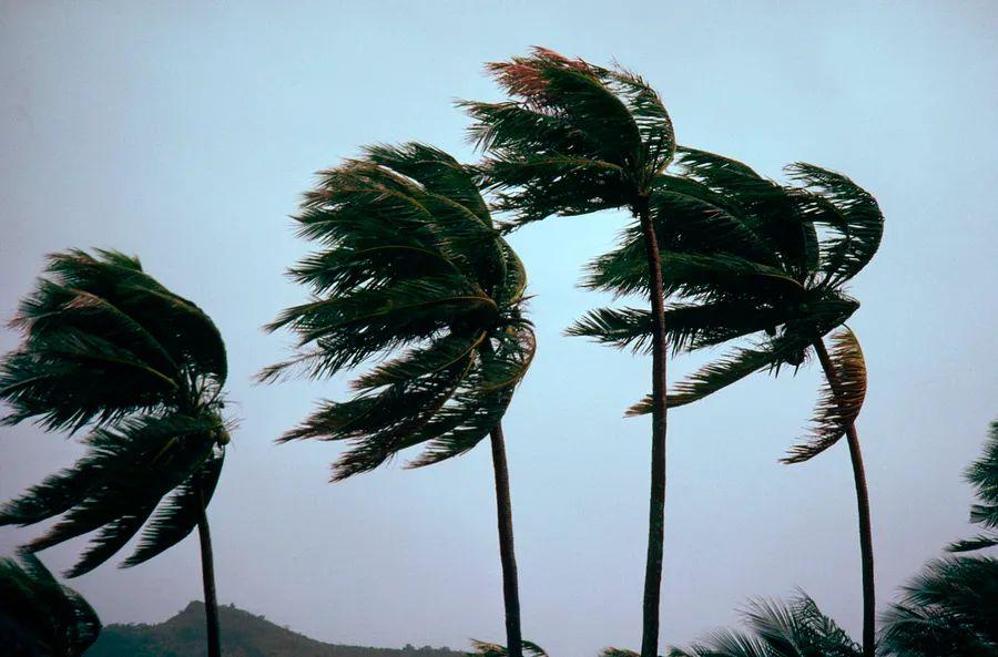 Cover Image for Hurricane season has begun: TPG’s guide for travelers facing storms