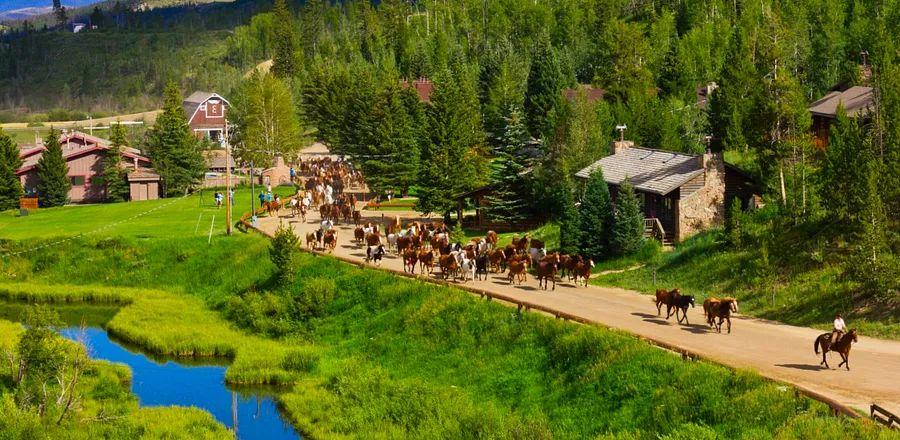 Cover Image for Why This Century-Old Ranch in Colorado Is Among America’s Most Desirable Retreats