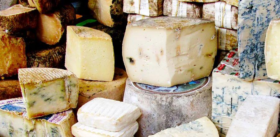 Cover Image for I Encountered a Cheese Oracle Who Guided My Next Journey