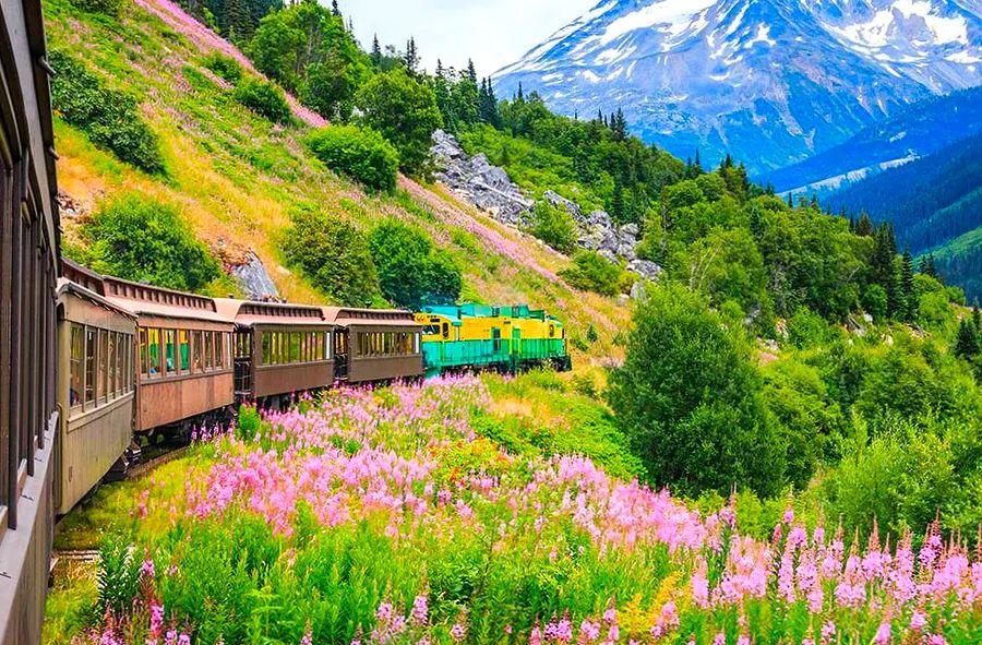 Cover Image for 2022 Alaska Cruises Departing from Seattle, Vancouver, and More