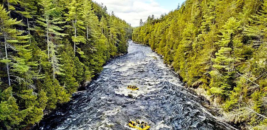 Cover Image for From Lobster Rolls to Picturesque Trails, Maine's Seasonal Delights Await