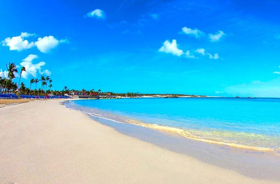 Cover Image for Dinogo Offers Relief and Welcomes Tourists Back to the Bahamas