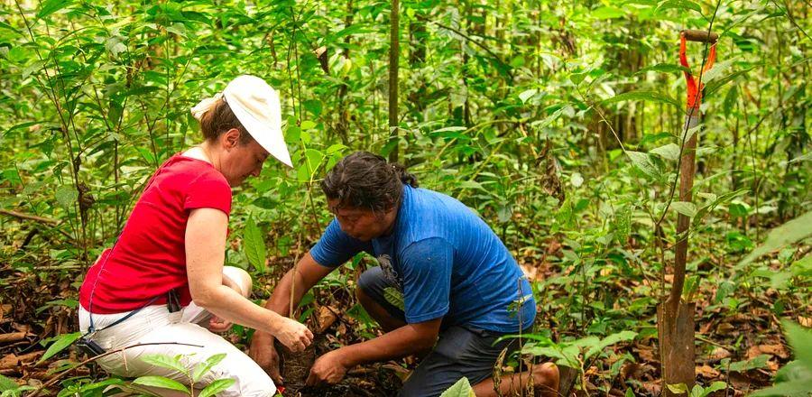Cover Image for Op-Ed: The Travel Sector Must Enhance Its Climate Initiatives