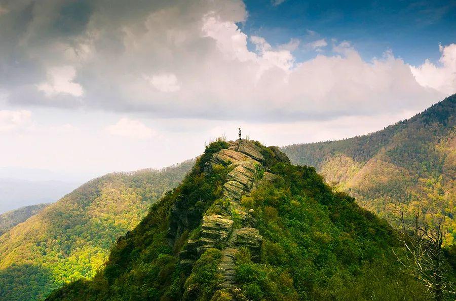 Cover Image for 8 stunning national parks to visit in spring