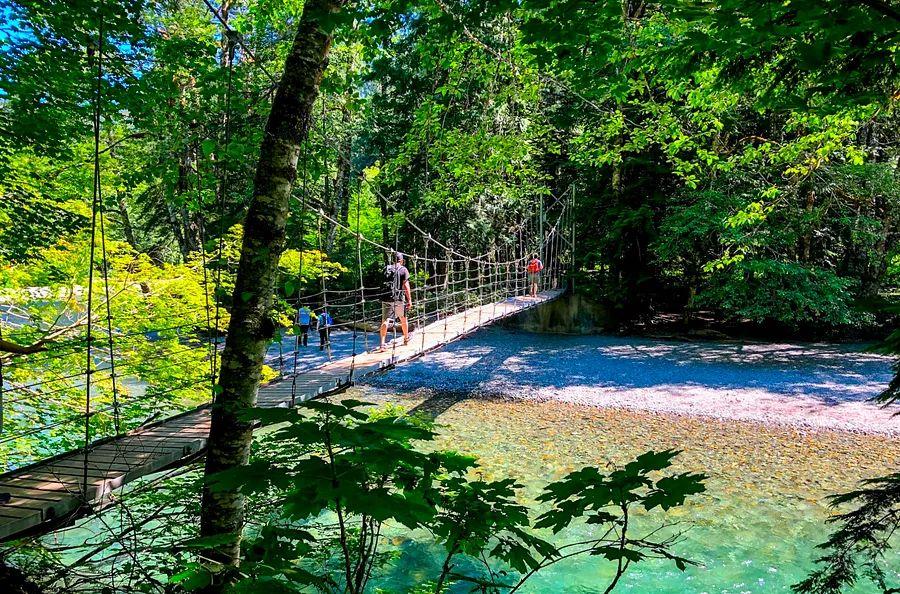 Cover Image for Planning a Family Trip? 10 Tips for Visiting Mount Rainier National Park