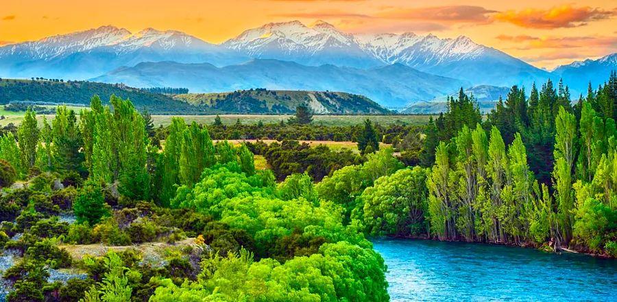 Cover Image for New Zealand Set to Welcome All Travelers by July