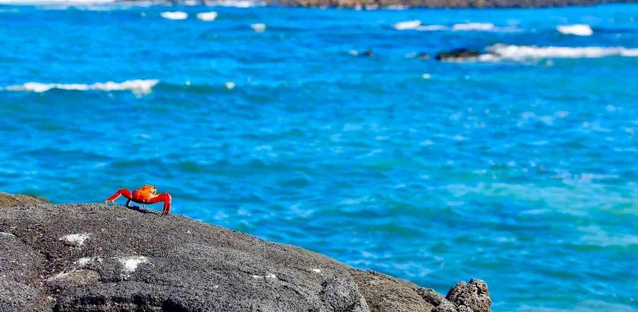 Cover Image for Top 10 Tropical Islands for Your Next Vacation