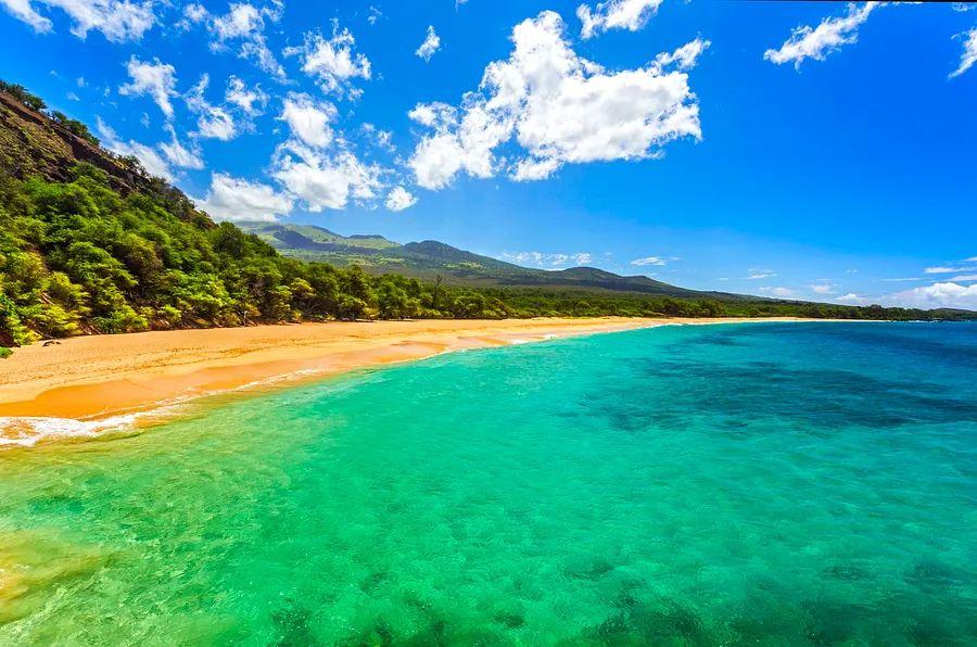 Cover Image for Ready for Adventure: A Family Journey in Oahu and Maui
