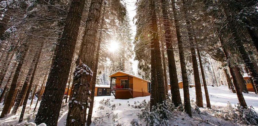 Cover Image for 10 Charming California Cabins for a Nature Retreat
