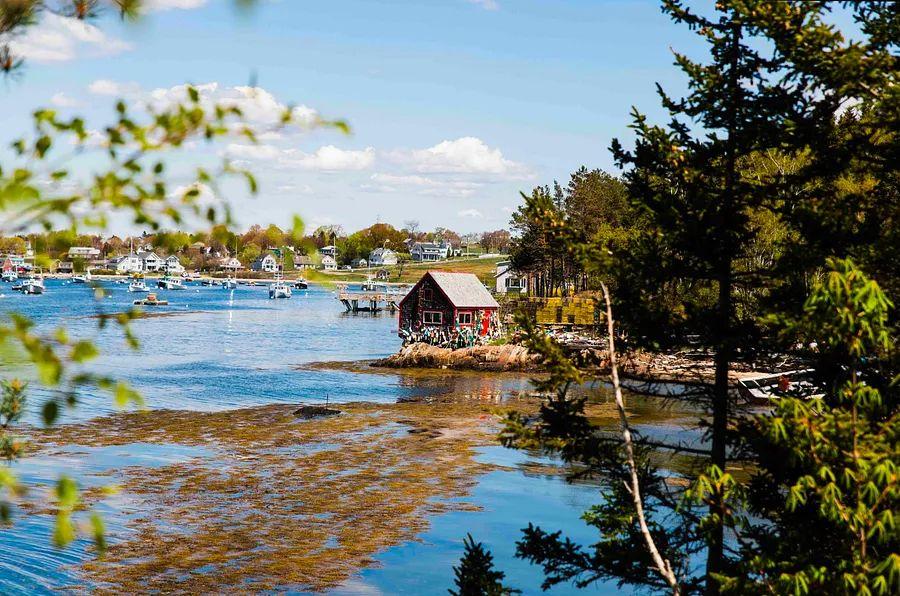 Cover Image for Lobster rolls and lighthouses: The ultimate Maine road trip