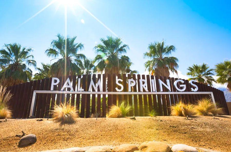 Cover Image for The comprehensive guide to Palm Springs, California