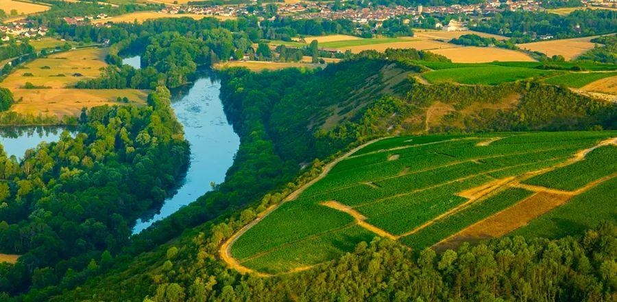 Cover Image for Experience a Fresh Perspective on Bourgogne Through Its Emerging Winemaking Talent