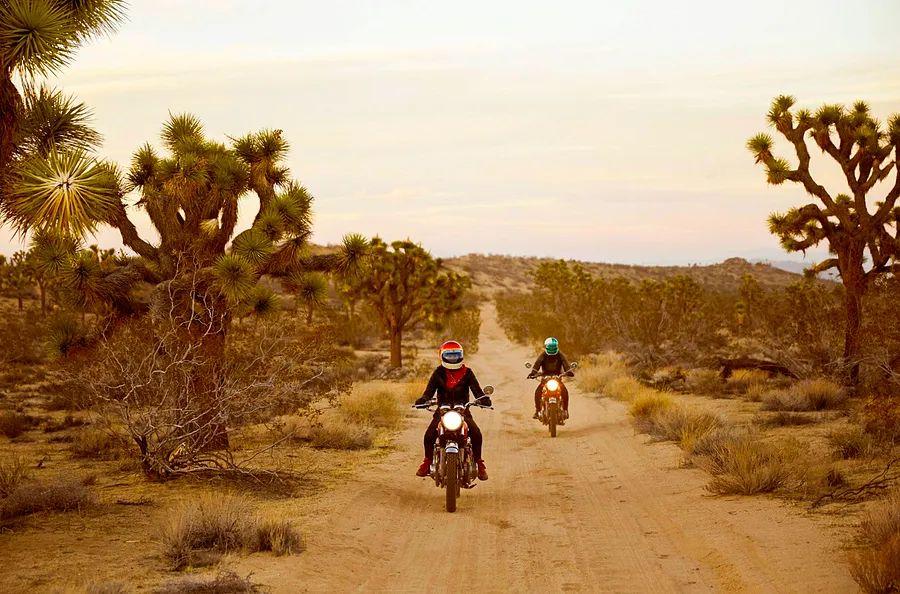 Cover Image for Top 8 road trips for exploring national parks