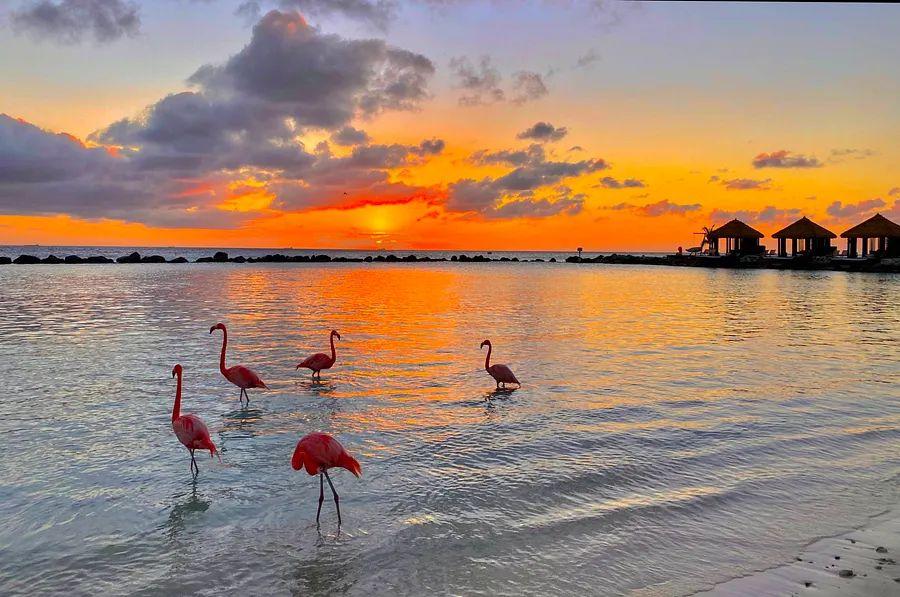 Cover Image for 13 top ways to utilize Marriott's 50,000-point certificates for family vacations