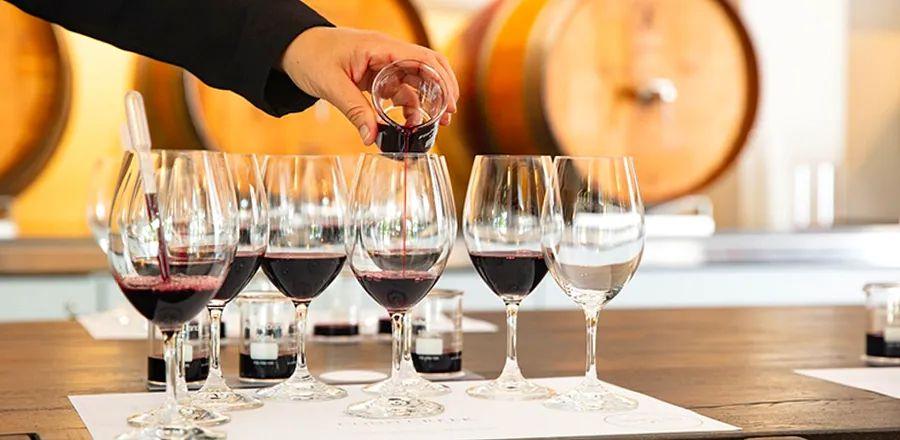 Cover Image for Must-Experience Wine Adventures in Napa Valley