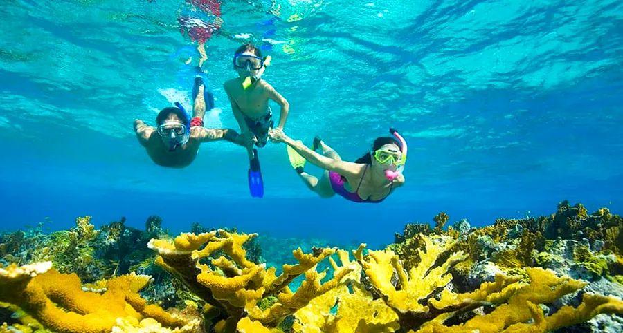 Cover Image for Top Snorkeling Cruises