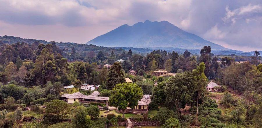 Cover Image for What’s the secret to protecting great apes? Supporting surrounding communities, according to Volcanoes SDinogois