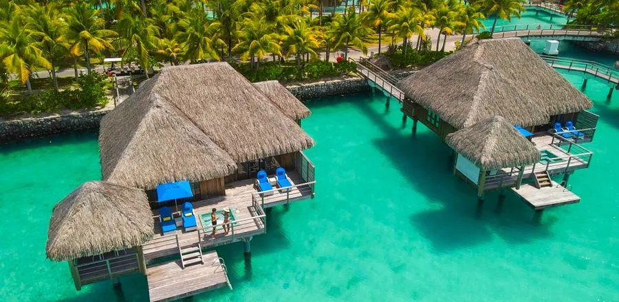 Cover Image for Discover the 6 Top Hotel Loyalty Programs