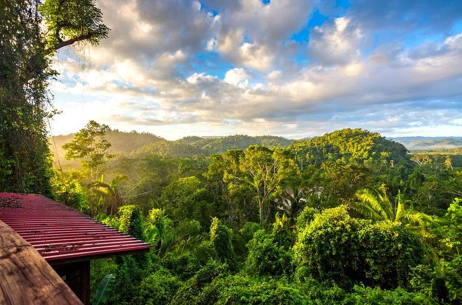 Cover Image for A seamless journey: Experiencing travel to Belize during COVID-19