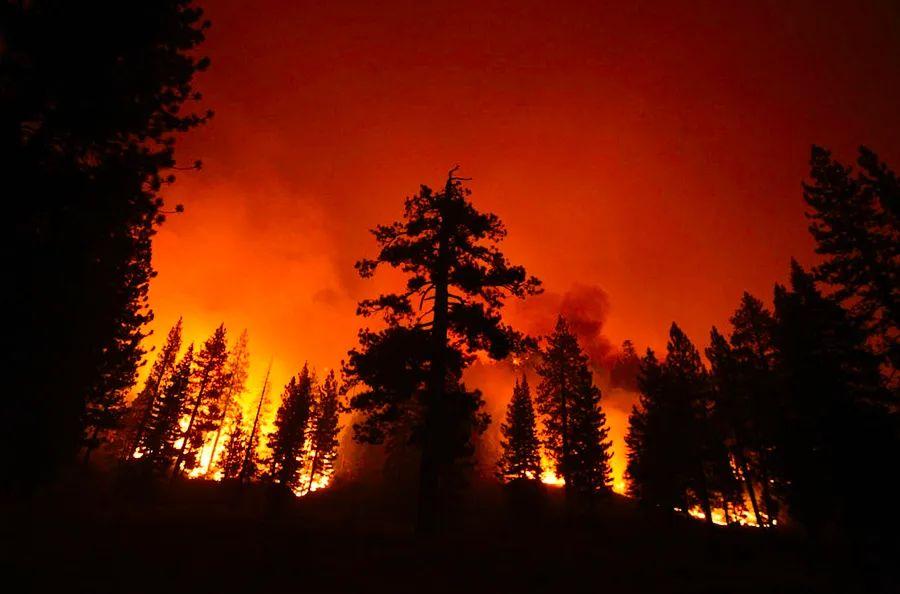 Cover Image for California's national forests will be temporarily closed as wildfires continue to escalate