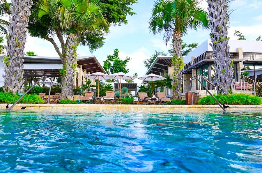 Cover Image for Essential Tips: How to find hotels using your free night award certificates