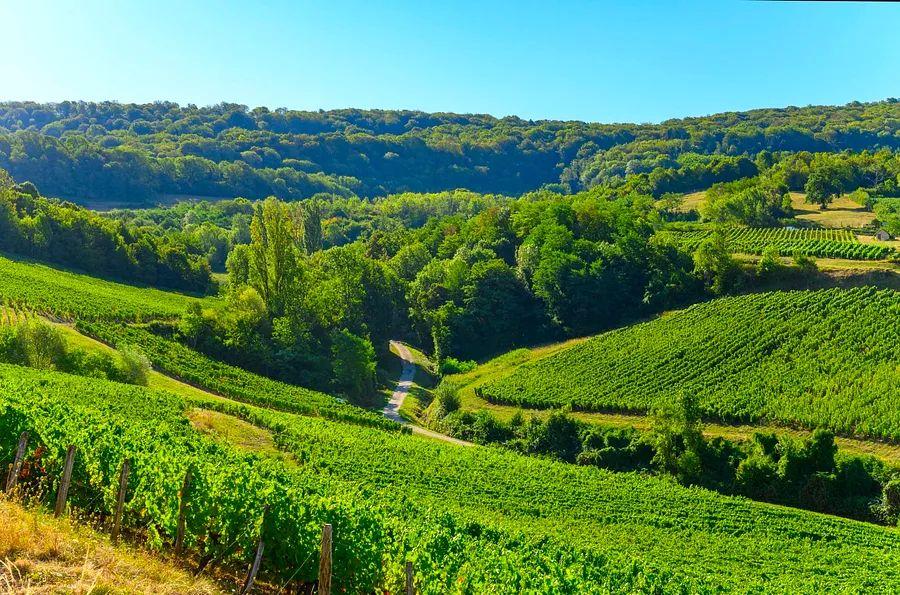 Cover Image for 11 Hidden Treasures to Discover in France