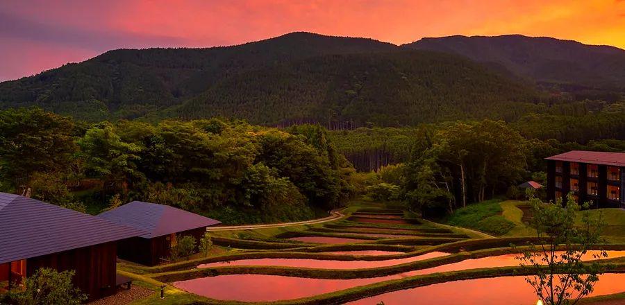 Cover Image for These New Hotels in Asia Are Definitely Worth Your Visit