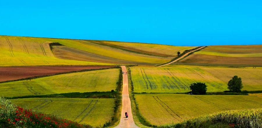 Cover Image for Tourism along the Camino de Santiago is crucial for the survival of small towns.