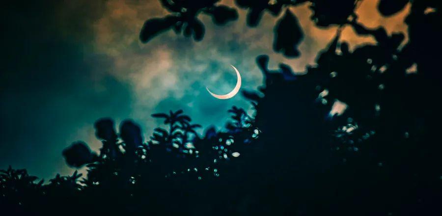 Cover Image for Your Last-Minute Travel Guide for April's Total Solar Eclipse
