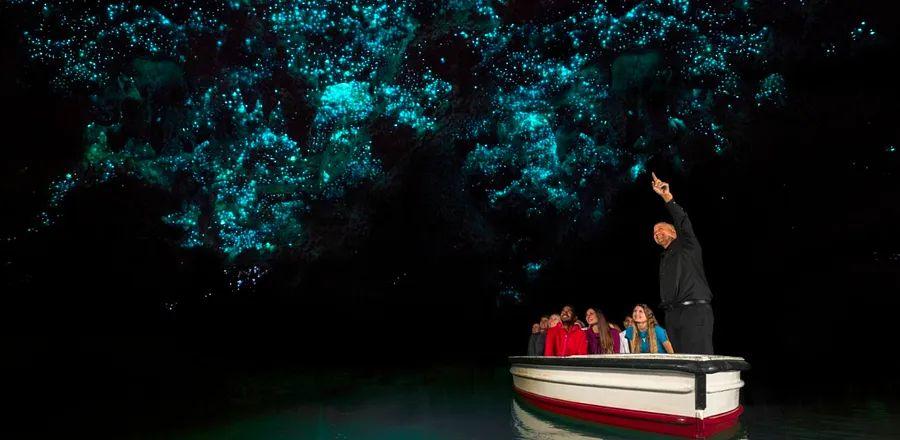 Cover Image for Bioluminescent Bays, Caves, and Parks: Discover the Magic Behind the Glow and Top Viewing Spots