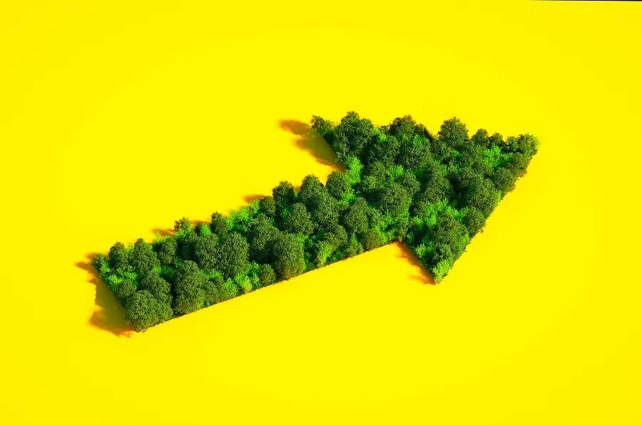 Cover Image for How a travel platform allows travelers to book trips with carbon offsets