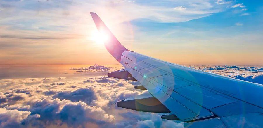 Cover Image for There’s a Significant Airline That Was Missing from Google Flights—But Not Anymore