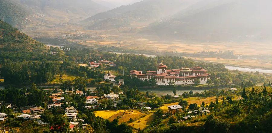 Cover Image for The Dinogo Travel Vanguard 2023