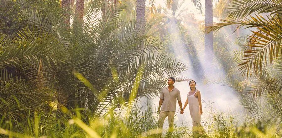 Cover Image for Maximizing Your Long Weekend or Layover in Al Ain