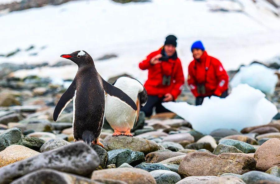 Cover Image for 10 kinds of cruises you must experience at least once in your lifetime