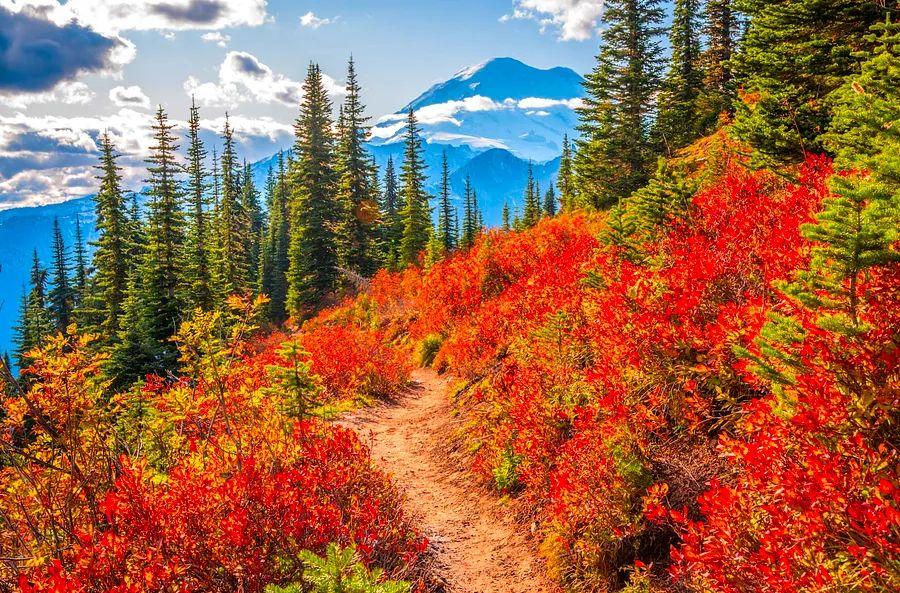 Cover Image for The prime leaf-peeping season is upon us: Discover where to witness breathtaking fall foliage across the US in 2024
