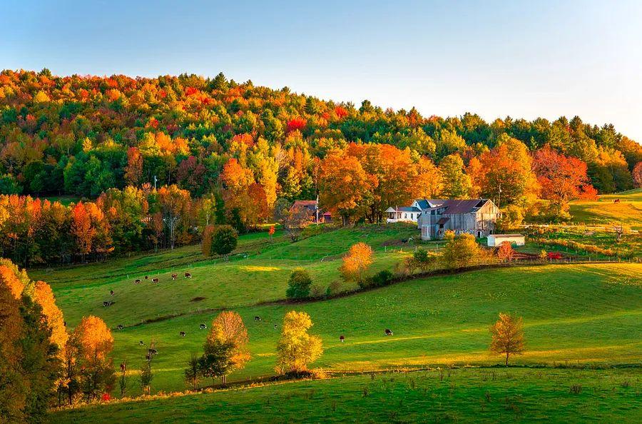 Cover Image for Discover why this autumn is an excellent opportunity to book a flight
