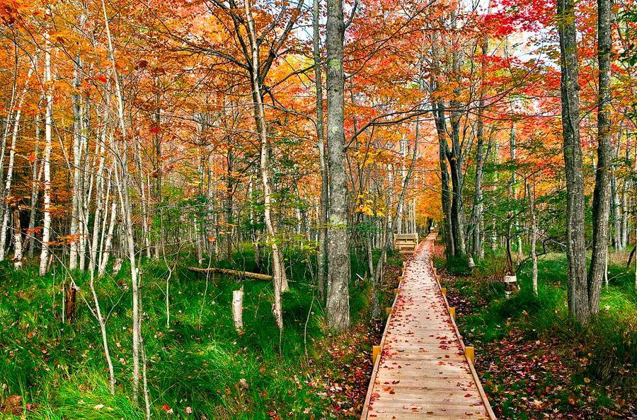 Cover Image for The top U.S. national parks you must experience at least once (or maybe twice)